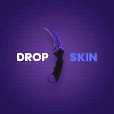 DropSkin logo