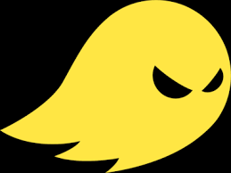 SkinVault logo